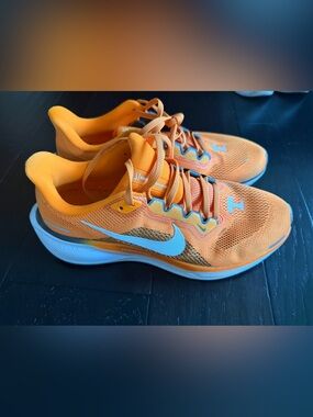 NIKE University of Tennessee: Orange Men's Running Shoes